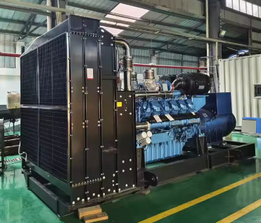 खरीदें 1800kVA 1440KW संतोषजनक डायनामो एलपीजी जनरेटर गैस जनरेटर औद्योगिक ऊर्जा आपूर्ति के लिए प्राकृतिक गैस सेट online manufacture